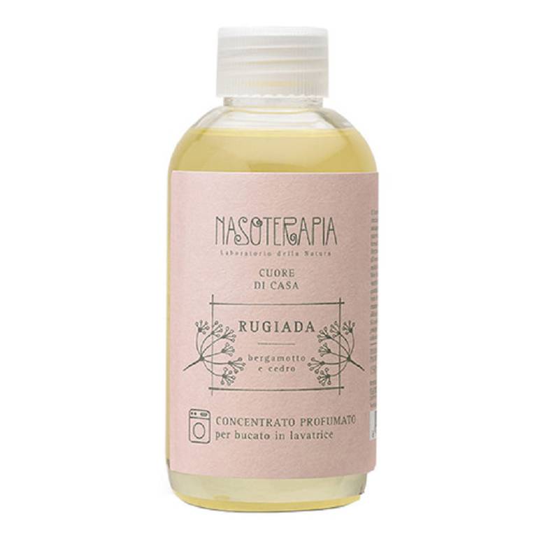 CONCENTRATO PROF BERGAM/CED